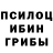 Галлюциногенные грибы Psilocybine cubensis Nataliaamazonka