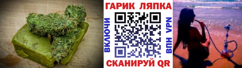 где купить наркоту  Ладушкин  мега зеркало  Cannafood конопля 
