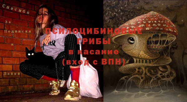 трава Алексеевка