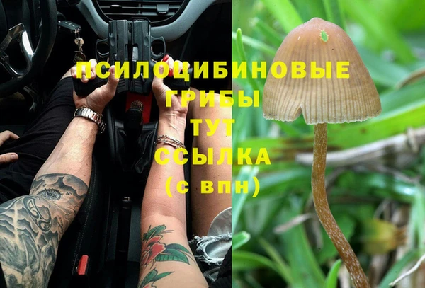трава Алексеевка