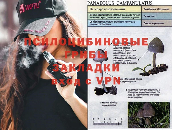 сатива Алексин