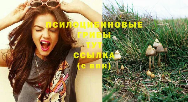 сатива Алексин