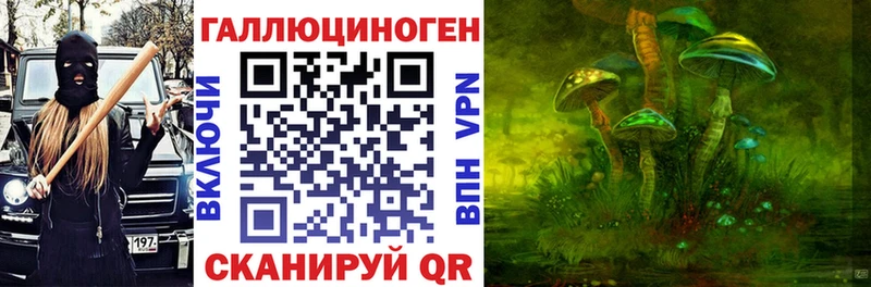 Псилоцибиновые грибы мицелий  omg зеркало  Ладушкин 